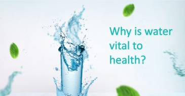 Why is water vital to health?